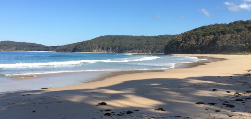 Pebbly Beach (Ruta Costera Melbourne-Sydney)